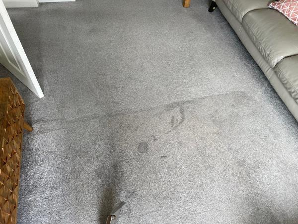 Spritz Carpet & Upholstery Cleaning