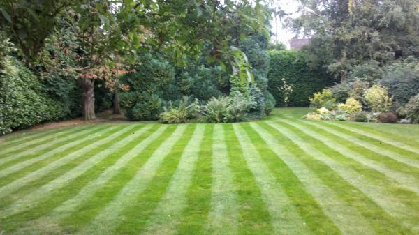 Green Stripe Lawncare