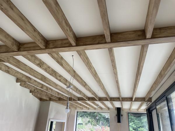 Yorkshire Beam Renovation