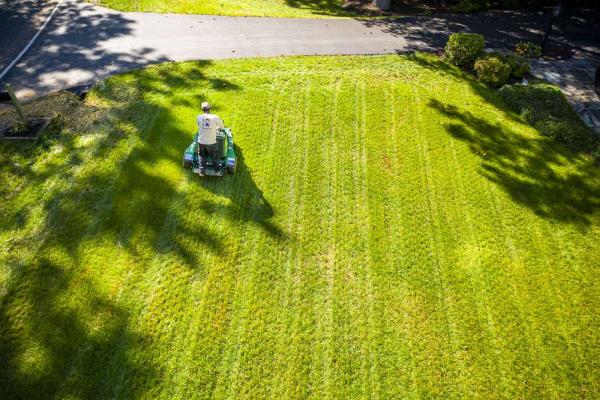 Kingstowne Lawn & Landscape