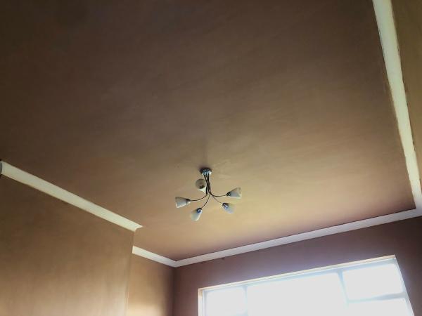 RJP Plastering Services