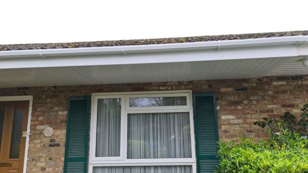 Trendline Roofing & Guttering