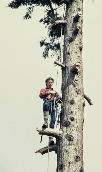 Bristol Urban Forestry