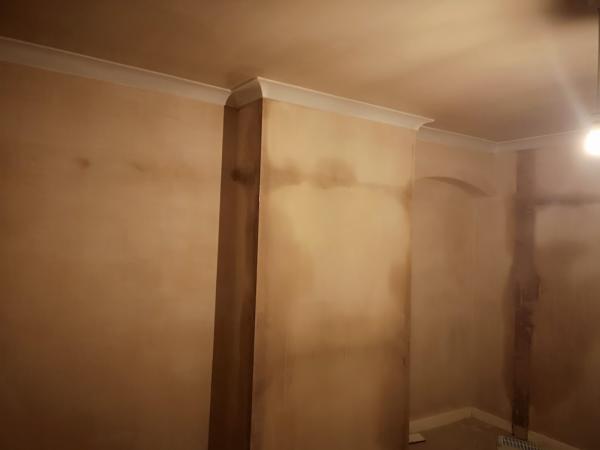 Trowel Trade Plasterers