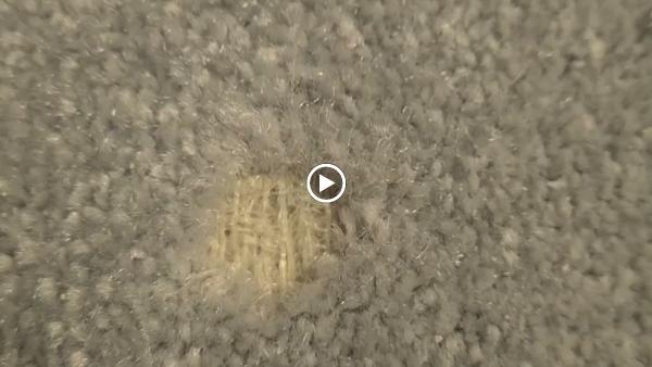 AP Carpet Cleaning Services