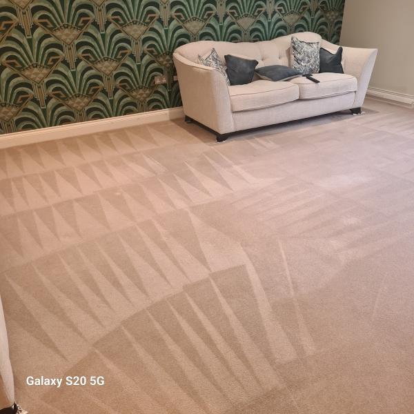 AP Carpet Cleaning Services