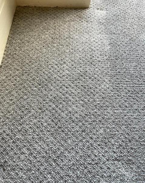 Cytoplanet Carpet & Floor Cleaning