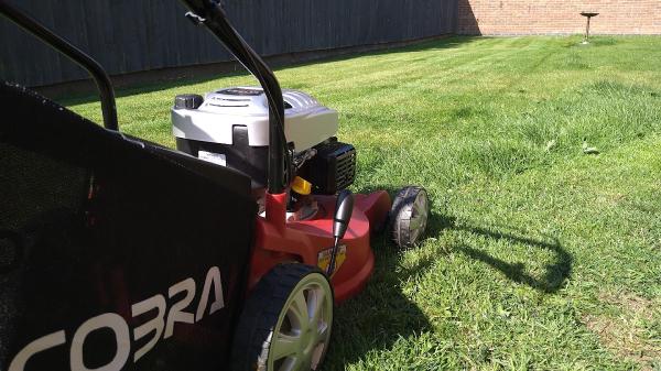 NPR Gardening