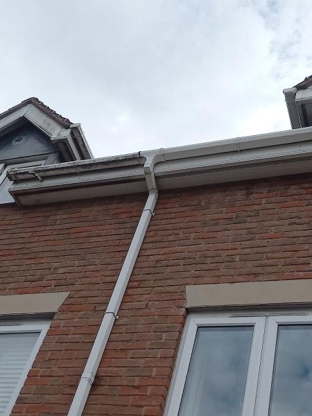 Wilkes Window's & Guttering Services
