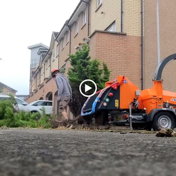 Tree Barbers Scotland