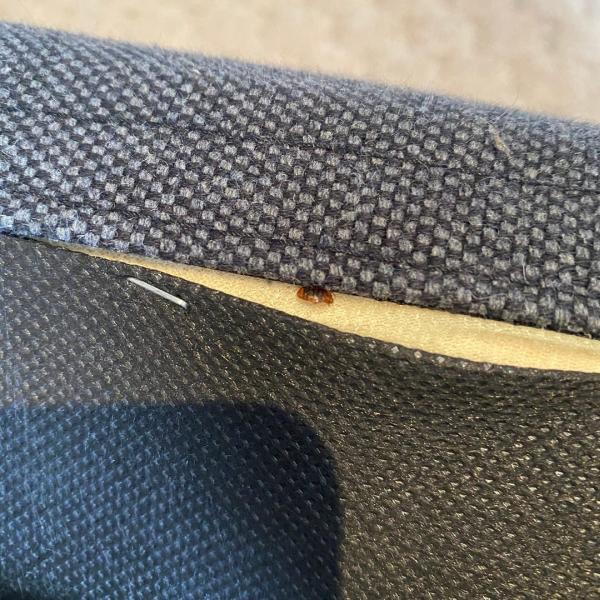 Pests R Us Pest Control