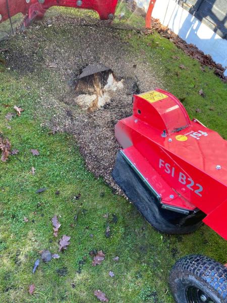 Lancashire Stump Removal