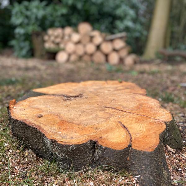 Lancashire Stump Removal