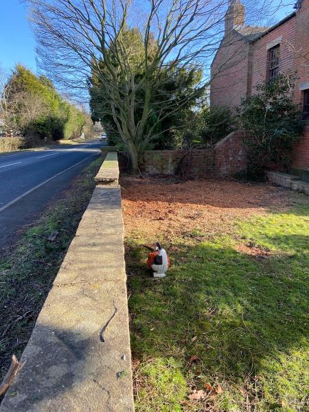 Lancashire Stump Removal