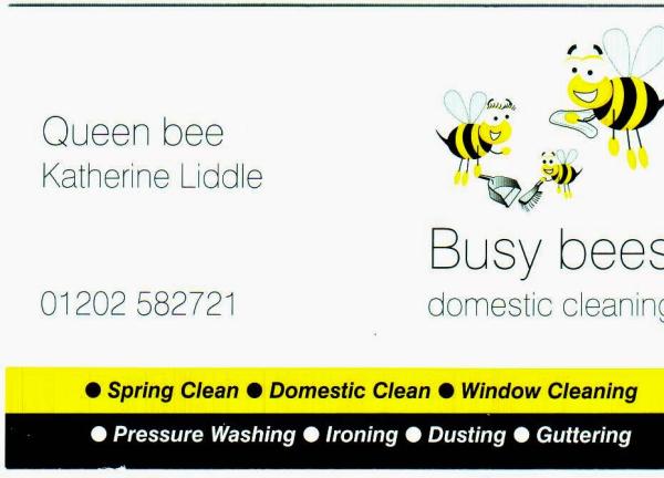 Busy Bees Domestic Cleaning Limited