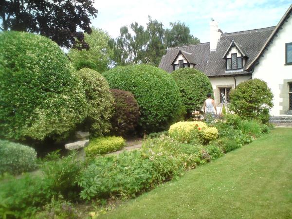 Dragonfly Tree & Garden Services