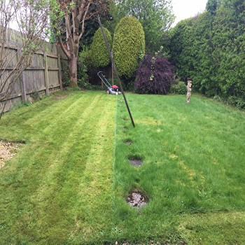 Dragonfly Tree & Garden Services