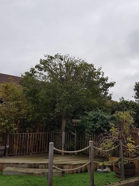 Greenway Gardens Tree & Garden Maintenance Service