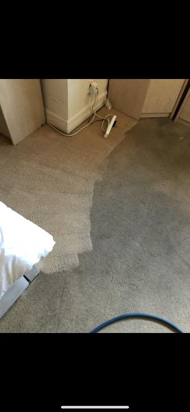 Ralston Carpet Cleaning