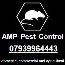 AMP Pest Control Norwich Norfolk