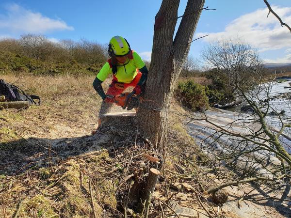 KP Arborists