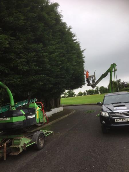 CR Tree Services