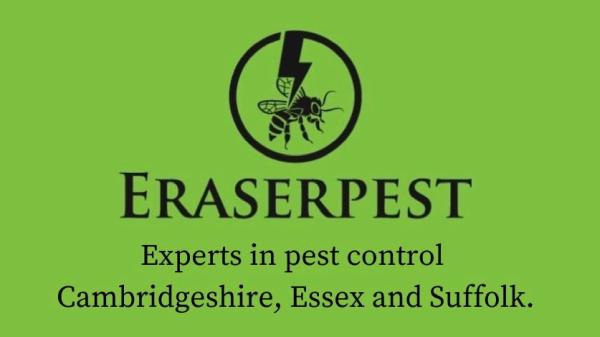 Eraserpest Pest Control and Wasp Nest Removal