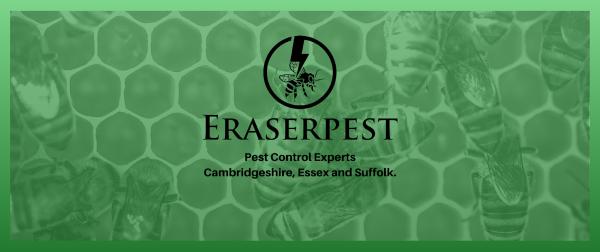 Eraserpest Pest Control and Wasp Nest Removal
