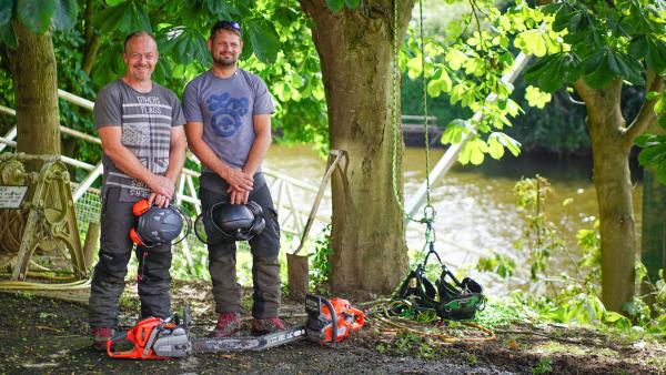 Worcester Tree Surgeon