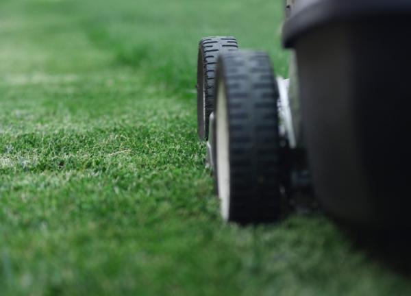 Lawn UK
