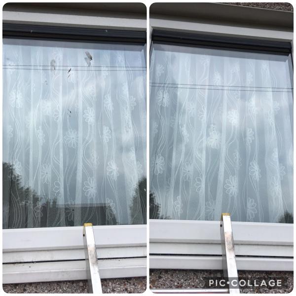 D.N Window Cleaning