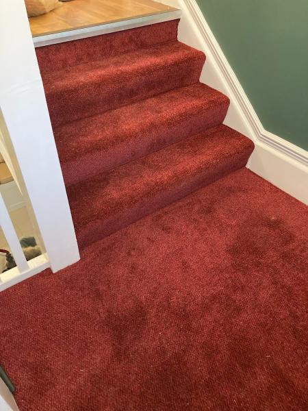 Kingsland Carpets