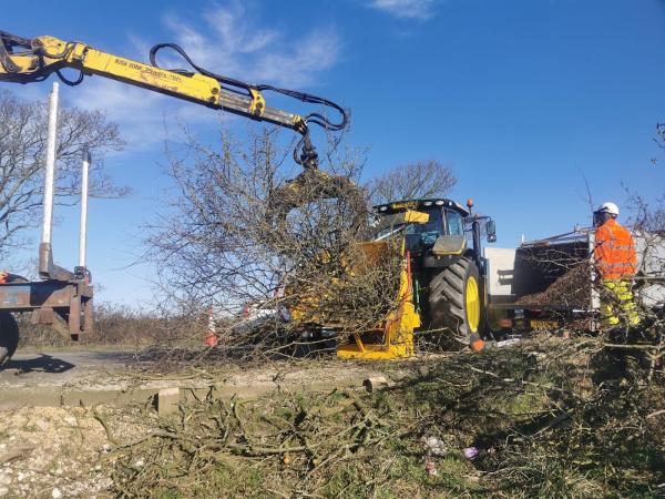 Cromwell Forestry Ltd