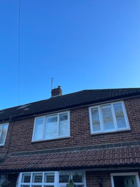 Bliss Chimney Sweeps