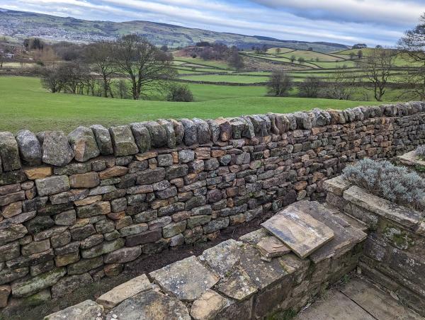 Dry Stone Walling by Chris Hall