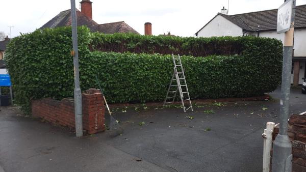 Frontline Tree & Garden Services