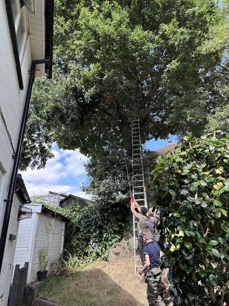 Frontline Tree & Garden Services