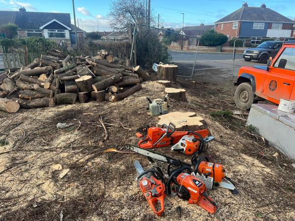 North Lincs Tree Services Ltd