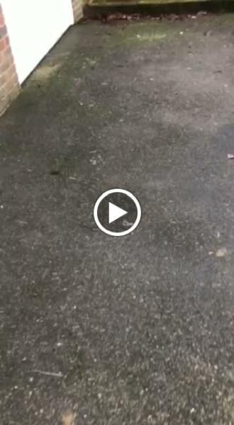 Outdoor Cleaning Services