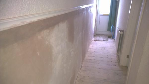 Verminate Woodworm and Property Services Weymouth Area