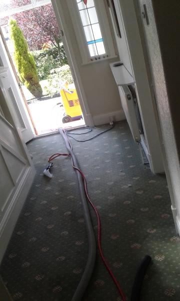 Advanced Carpet Cleaners