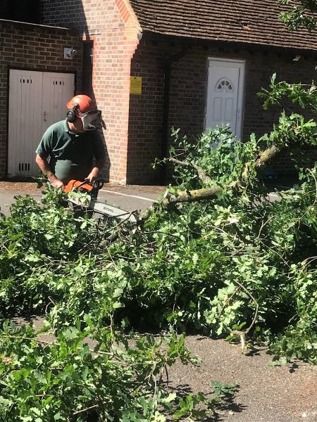 Bowskill Tree Services