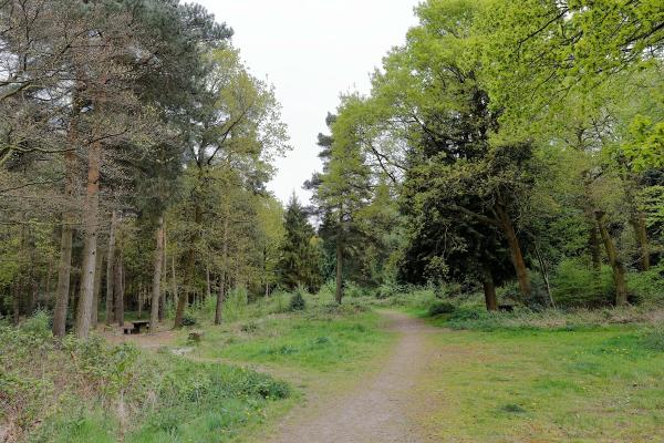 Shire Oak Landscapes Ltd