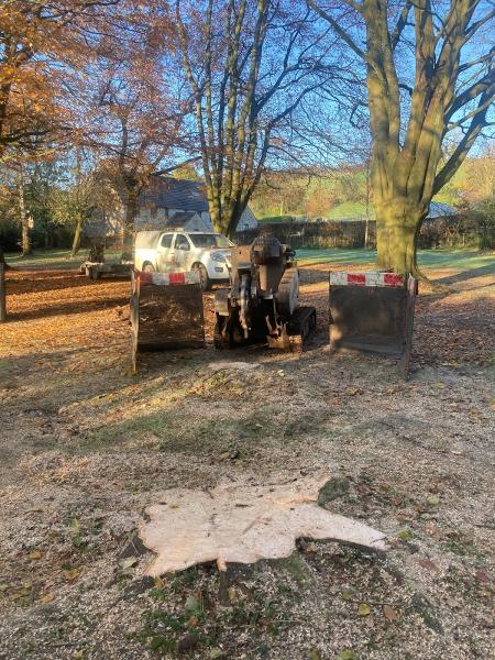 Stumpbusters Tree Stump Removal Avon