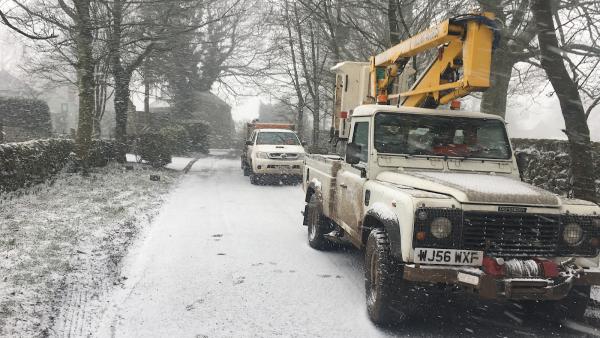 Kings Wood Tree Services Limited