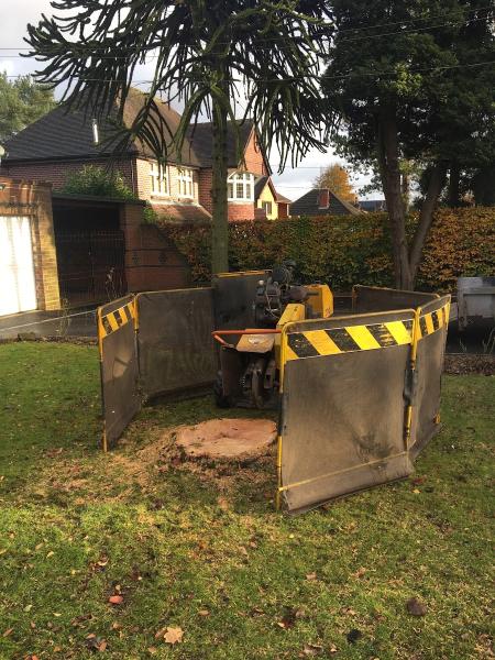Kings Wood Tree Services Limited