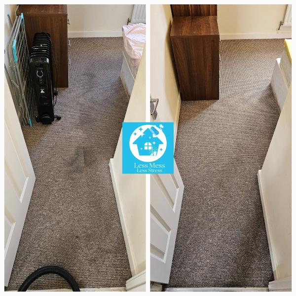 Cleaning Service Less Mess Carpet Cleaning.