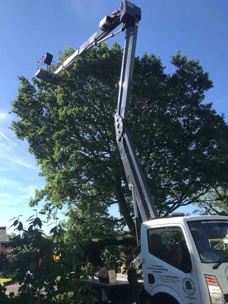 South Lakes Tree Surgeons & Landscapes Ltd