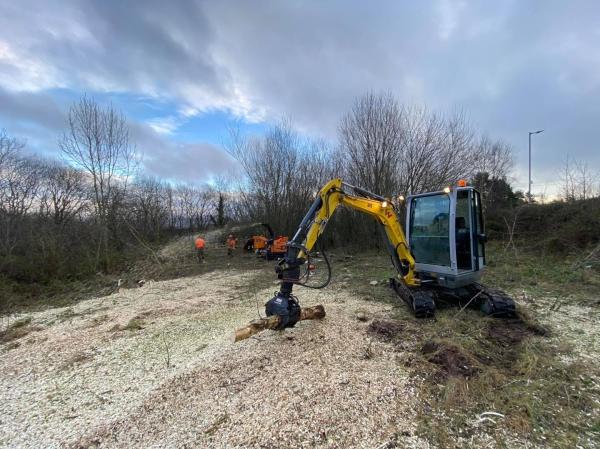 North Lanarkshire Tree Care