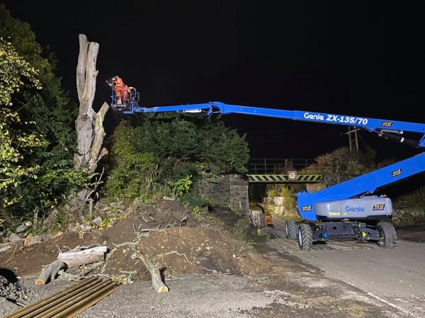 North Lanarkshire Tree Care